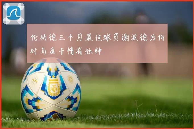 伦纳德三个月最佳球员谢泼德为何对乌度卡情有独钟